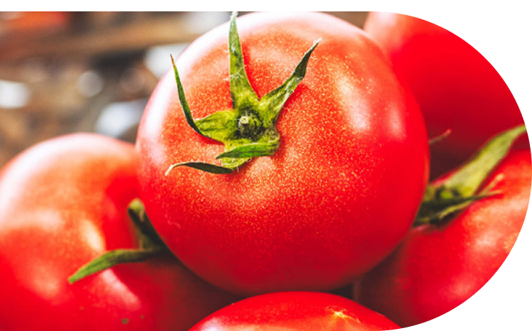 八女のオリジナル品種「はなひめ」