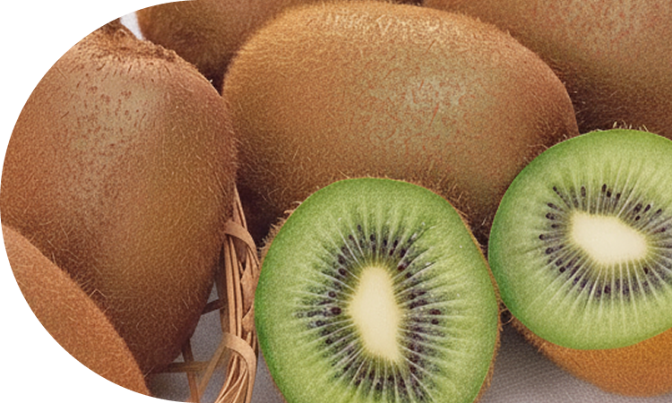 恵まれた八女の自然