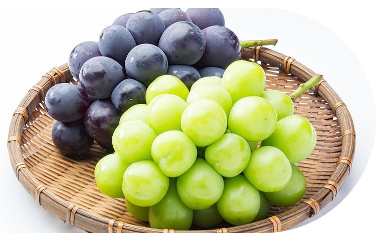 こだわりの人気品種