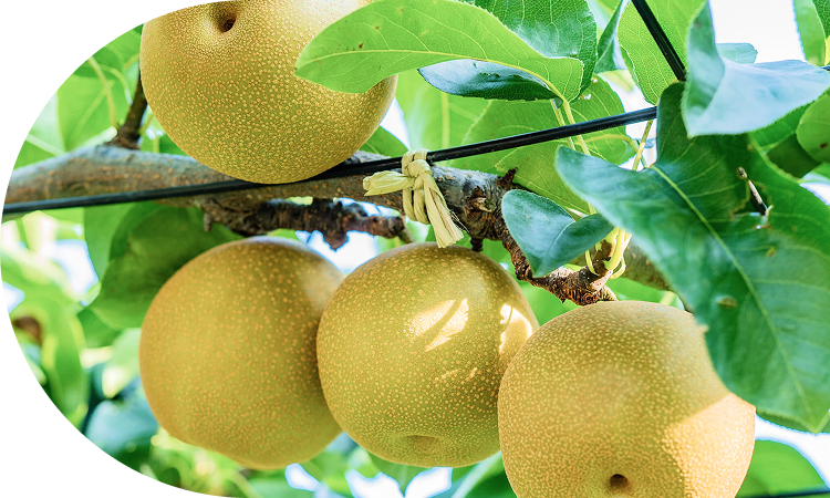 安心安全な品質管理