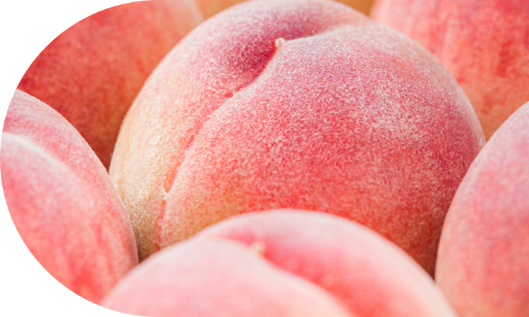 八女の自然が育む甘さ