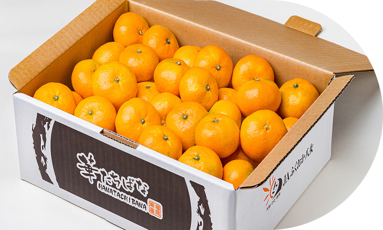 長期間楽しめる八女ブランド