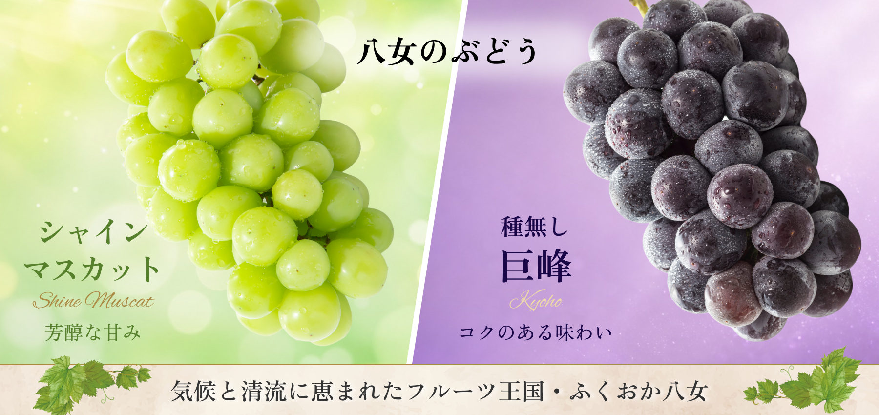 grape