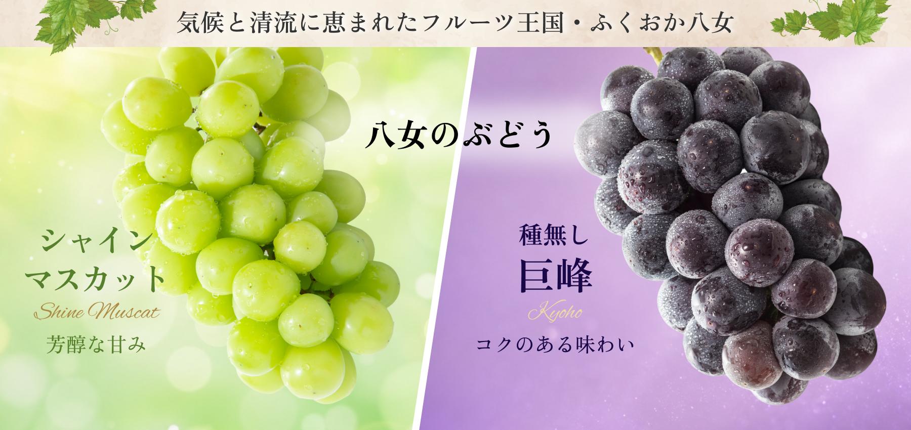 grape