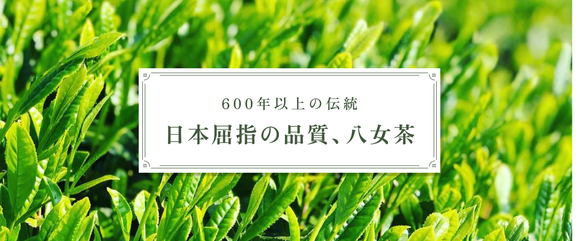 八女茶通販