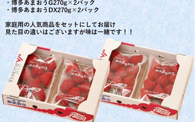 博多あまおうG270g×2パック・DX 270g×2パックセット