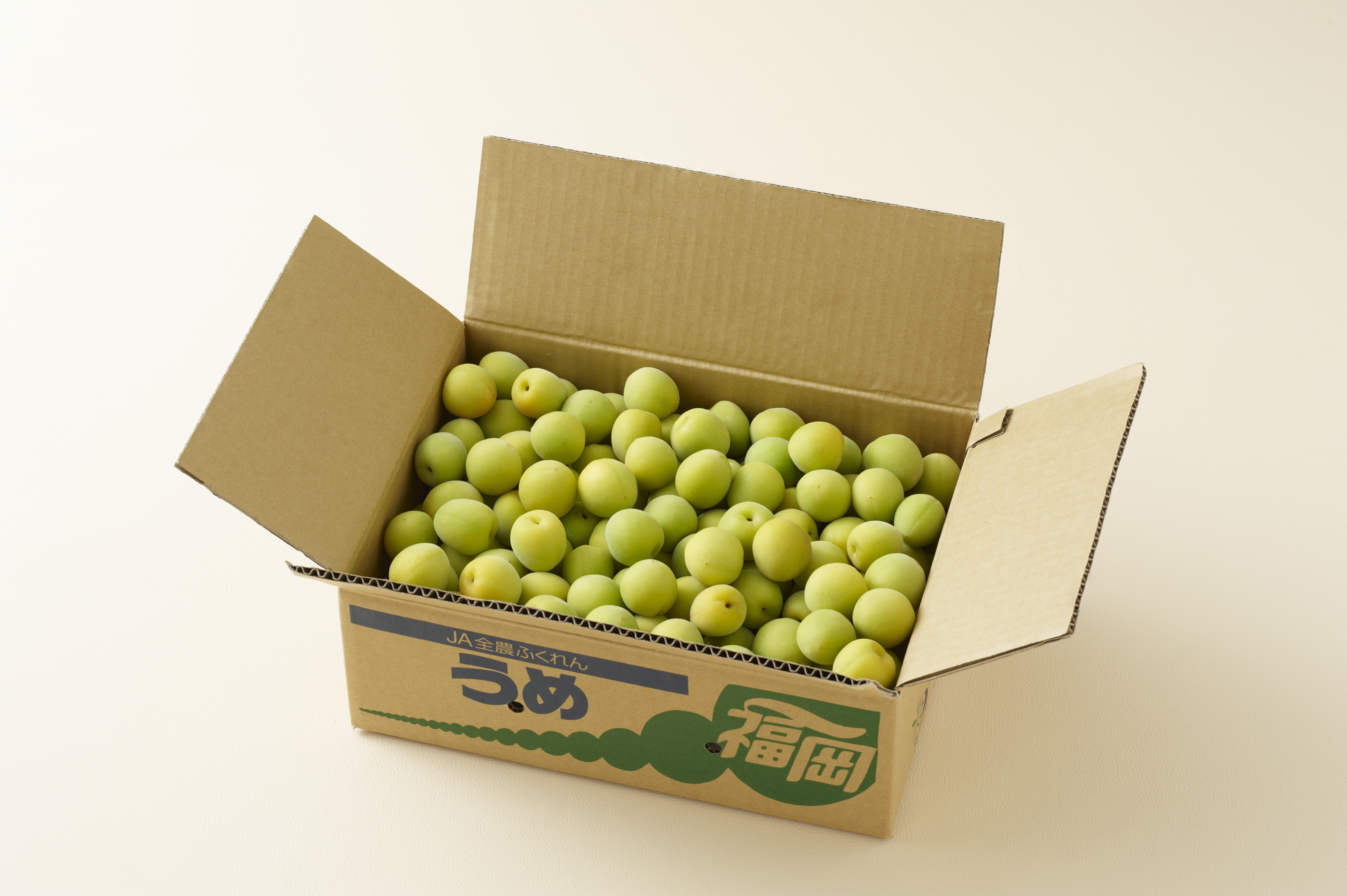 玉英梅（ぎょくえい）☆大玉で、梅酒・梅干しに適した品種です☆彡の商品画像 1
