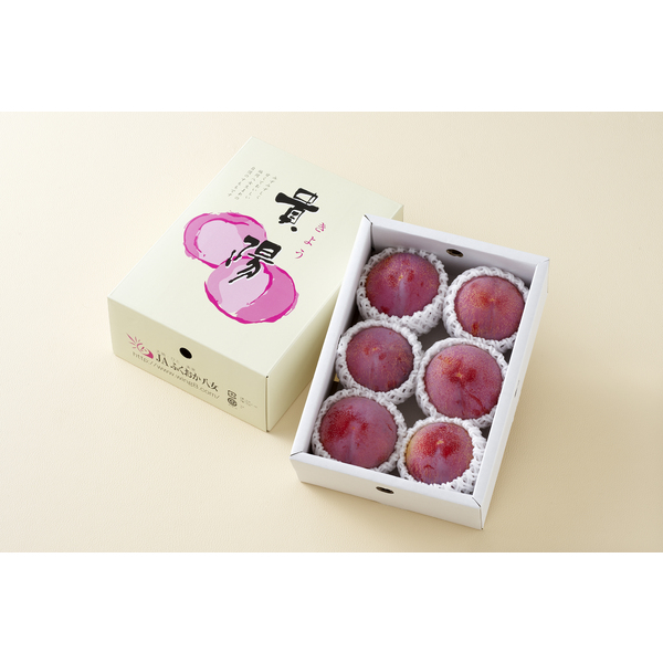 貴陽☆濃厚な甘み、高級すもも☆彡 | すもも | 【公式】JAふくおか八女