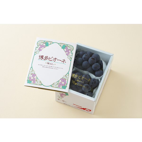 博多ピオーネ | ぶどう | 【公式】JAふくおか八女オンライン直売所