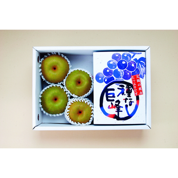 種なし巨峰800g・幸水梨4玉詰合せセット | 梨,ぶどう | 【公式】JA