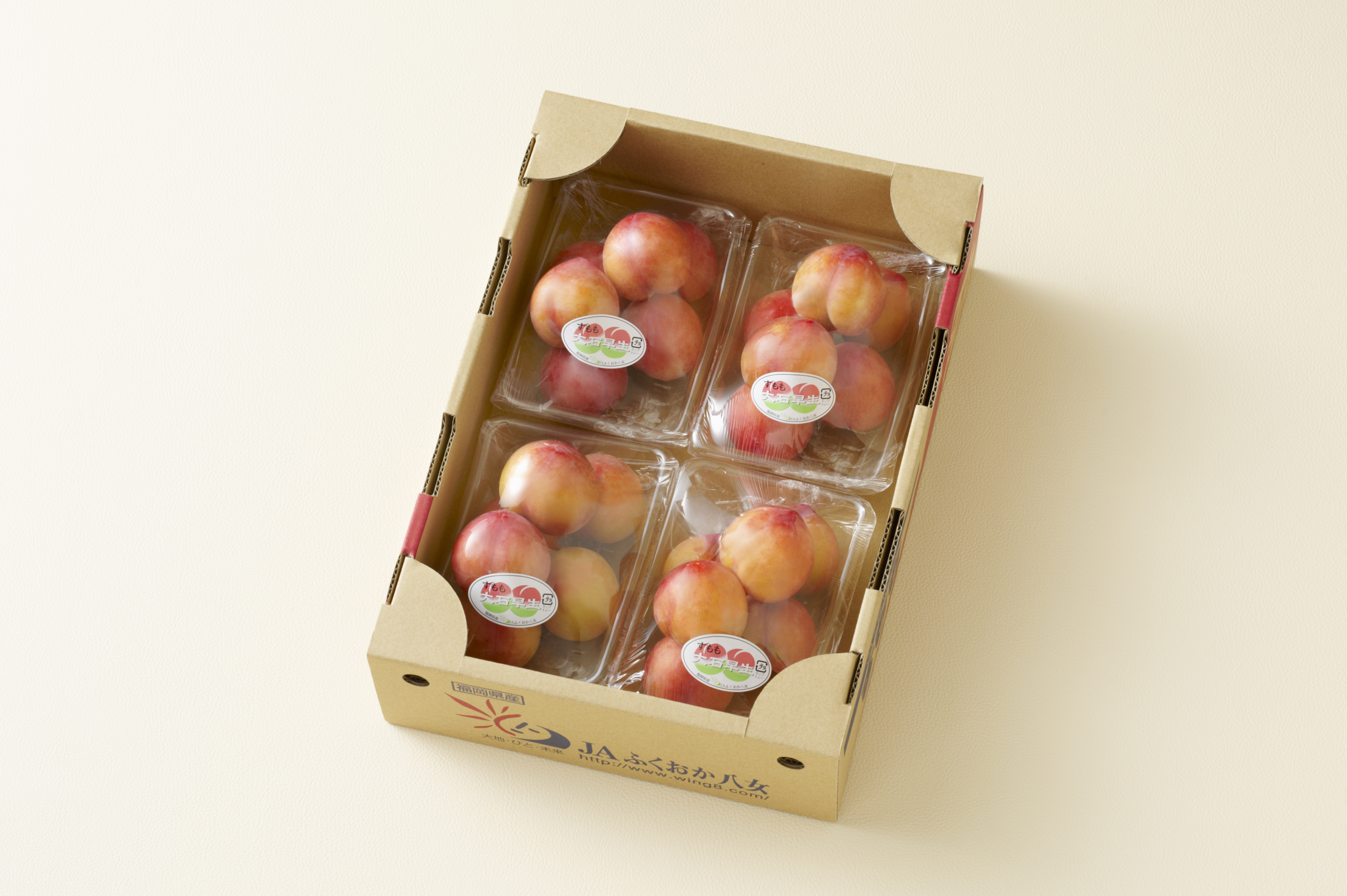 lycee すもも 大石早生☆超定番のすももです☆彡 | すもも | 【公式】JAふくおか八女