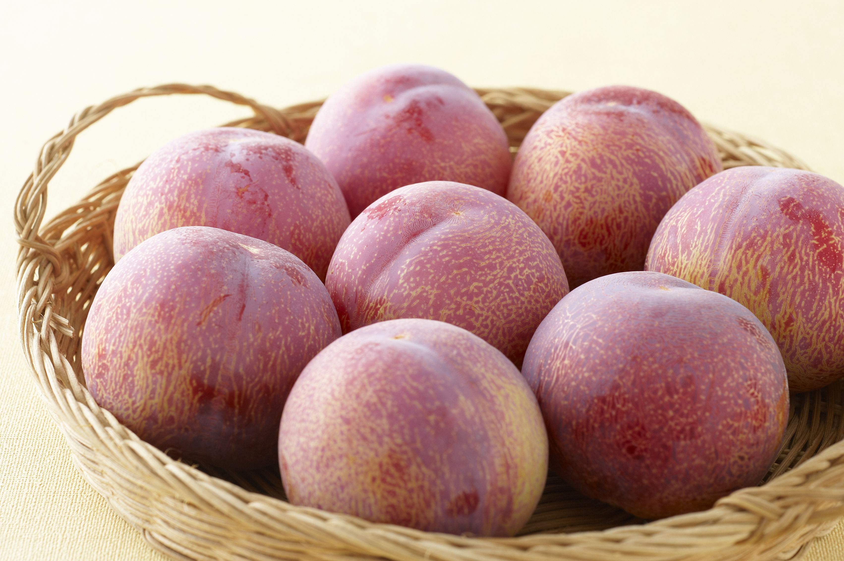 すもも 貴陽☆濃厚な甘み、高級すもも☆彡 | すもも | 【公式】JAふくおか八女