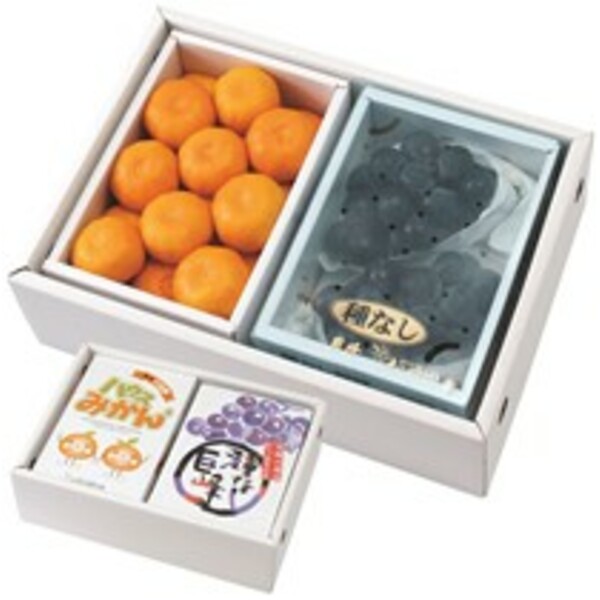 種なし巨峰800g・ハウスみかん1.2kg詰合せ | みかん,ぶどう | 【公式