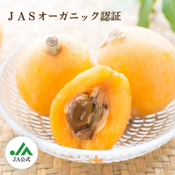 びわ ☆JASオーガニック認証取得済！☆彡 | びわ | 【公式】JAふくおか