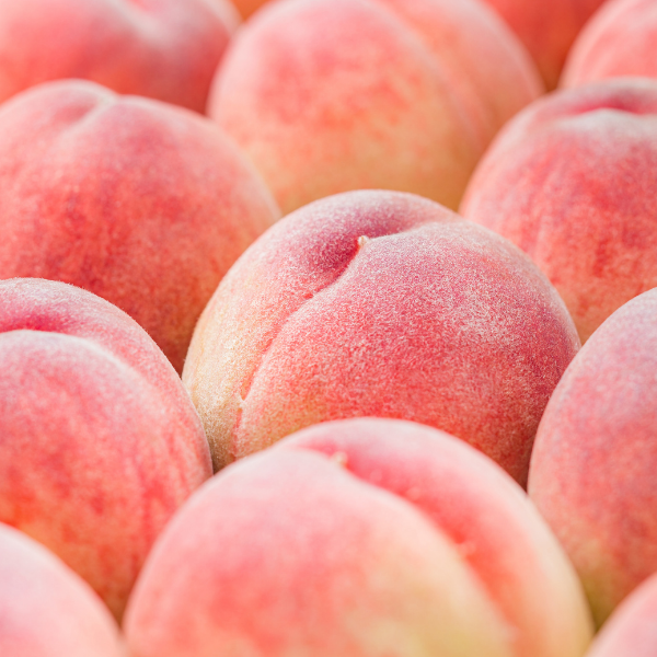 八女の桃 | 桃 | 【公式】JAふくおか八女オンライン直売所・八女屋