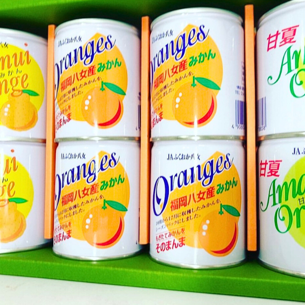 柑橘缶詰3種セット☆みかん・甘夏・不知火のシラップ漬け！☆彡