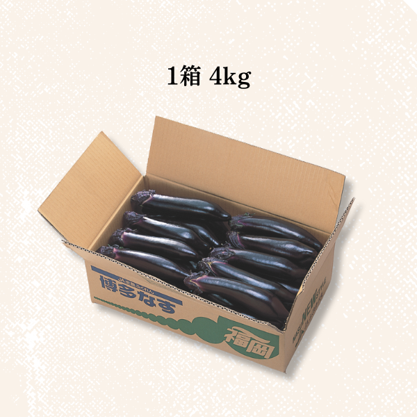 ナス太 博多なす | なす | 【公式】JAふくおか八女オンライン直売所・八女屋