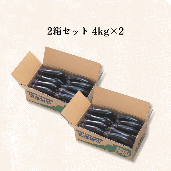 博多なす | なす | 【公式】JAふくおか八女オンライン直売所・八女屋