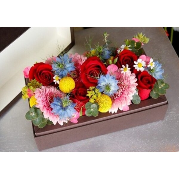 超希少品　2021年運行記念（未運行）　花たびそうや　レプリカサボ　新品未使用 車両装備品を手にする(4)～記念グッズとしてのサボ・エンブレム｜たかさご