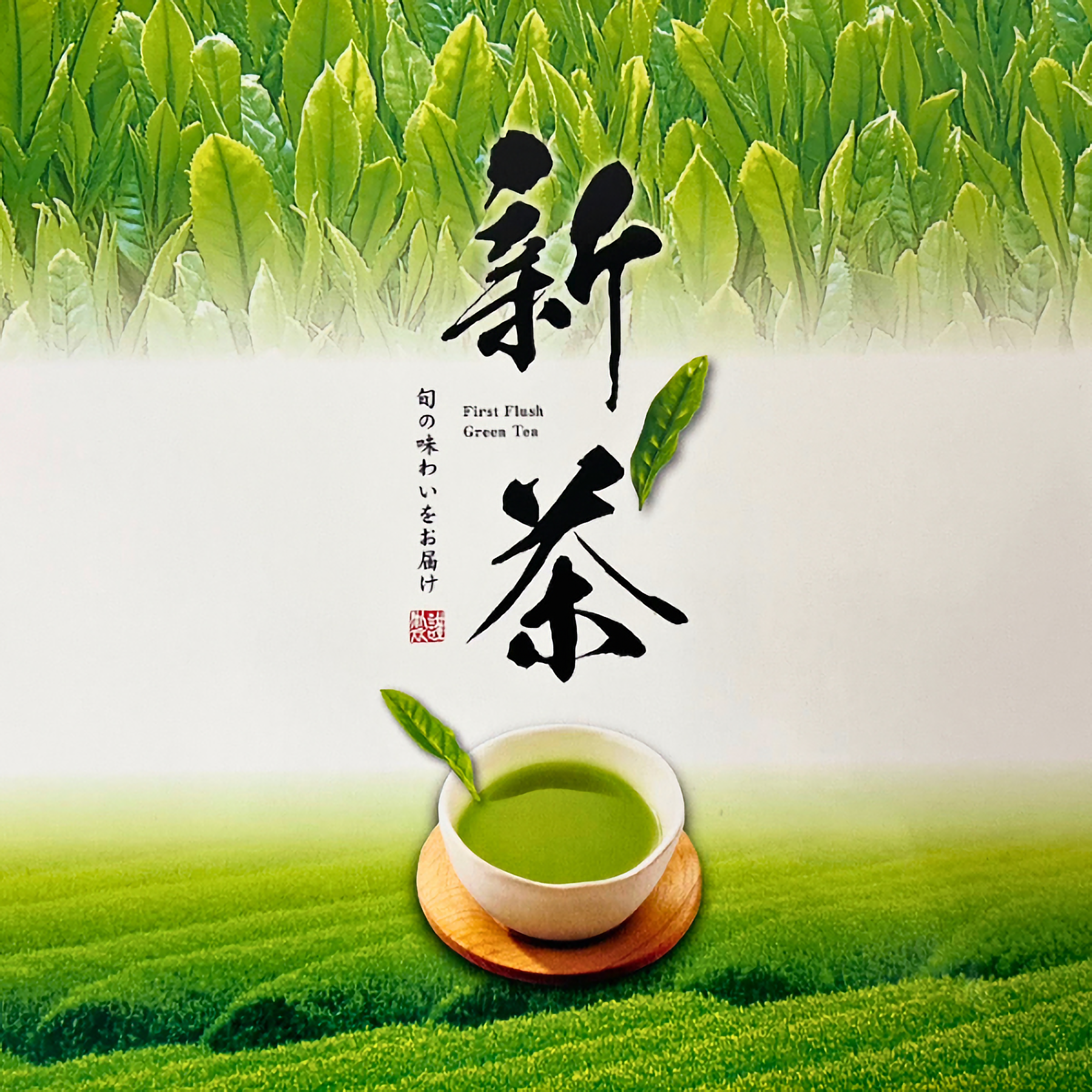 贈り物に最適！八女新茶(煎茶)飲み比べセットの商品画像 16