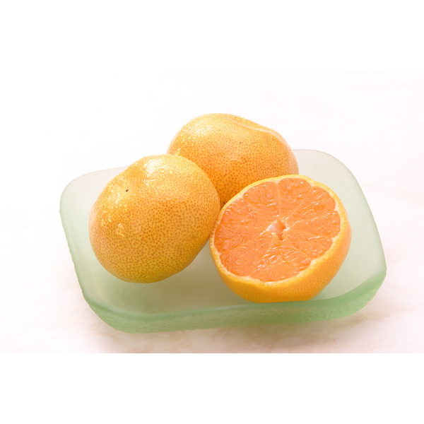 種なし巨峰800g・ハウスみかん1.2kg詰合せ | みかん,ぶどう | 【公式