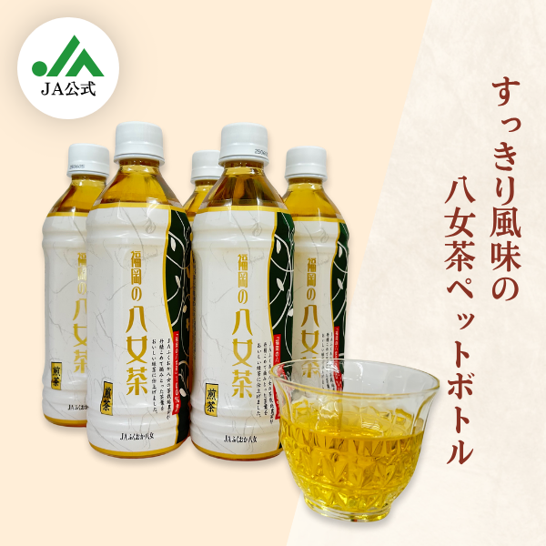 携帯用にもお勧め！八女茶ペットボトル | 茶 | 【公式】JAふくおか八女