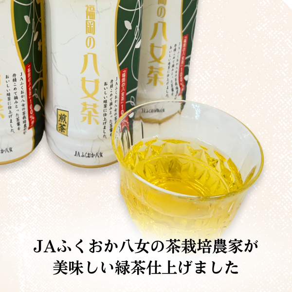 携帯用にもお勧め！八女茶ペットボトル | 茶 | 【公式】JAふくおか八女