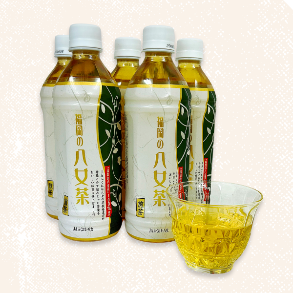 携帯用にもお勧め！八女茶ペットボトル | 茶 | 福岡八女の特産品
