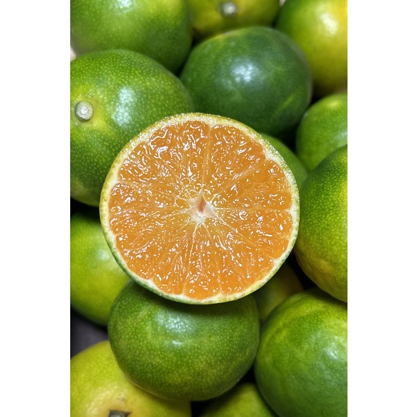 早味かん | みかん | 【公式】JAふくおか八女オンライン直売所・八女屋