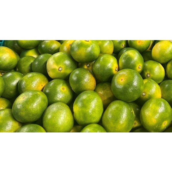 極早生みかん | みかん | 【公式】JAふくおか八女オンライン直売所