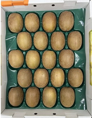 甘うぃの商品画像 4