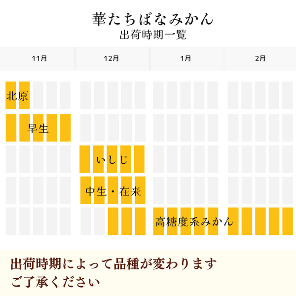 華たちばなみかん | みかん | 【公式】JAふくおか八女オンライン直売所