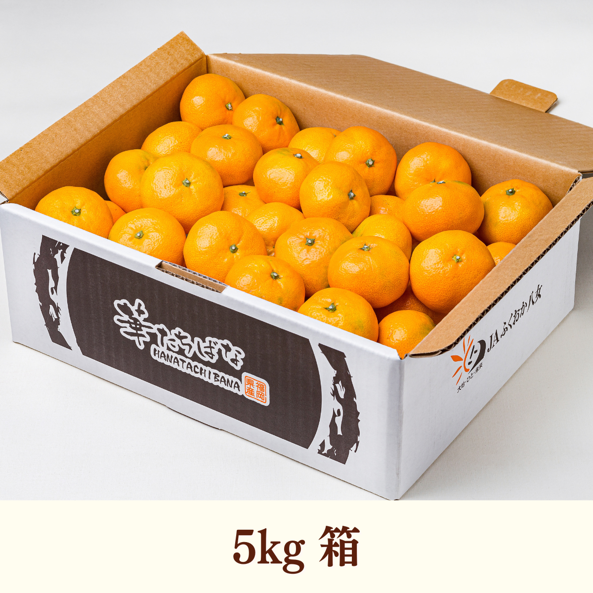 華たちばなみかん | みかん | 【公式】JAふくおか八女オンライン直売所