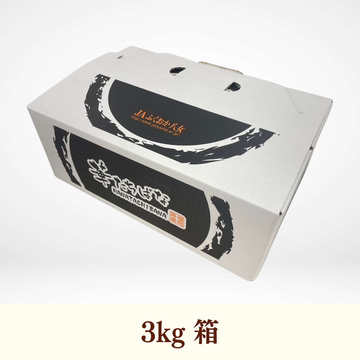 華たちばなみかん | みかん | 【公式】JAふくおか八女オンライン直売所