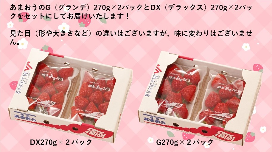 福岡県産\"博多あまおう\"G12粒420g 2026年12月発送開始】博多あまおう700g（化粧箱）｜JAふくおか八女