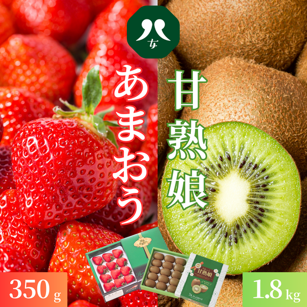 あまおう化粧箱・博多甘熟娘キウイ1.8㎏セット | いちご,キウイ