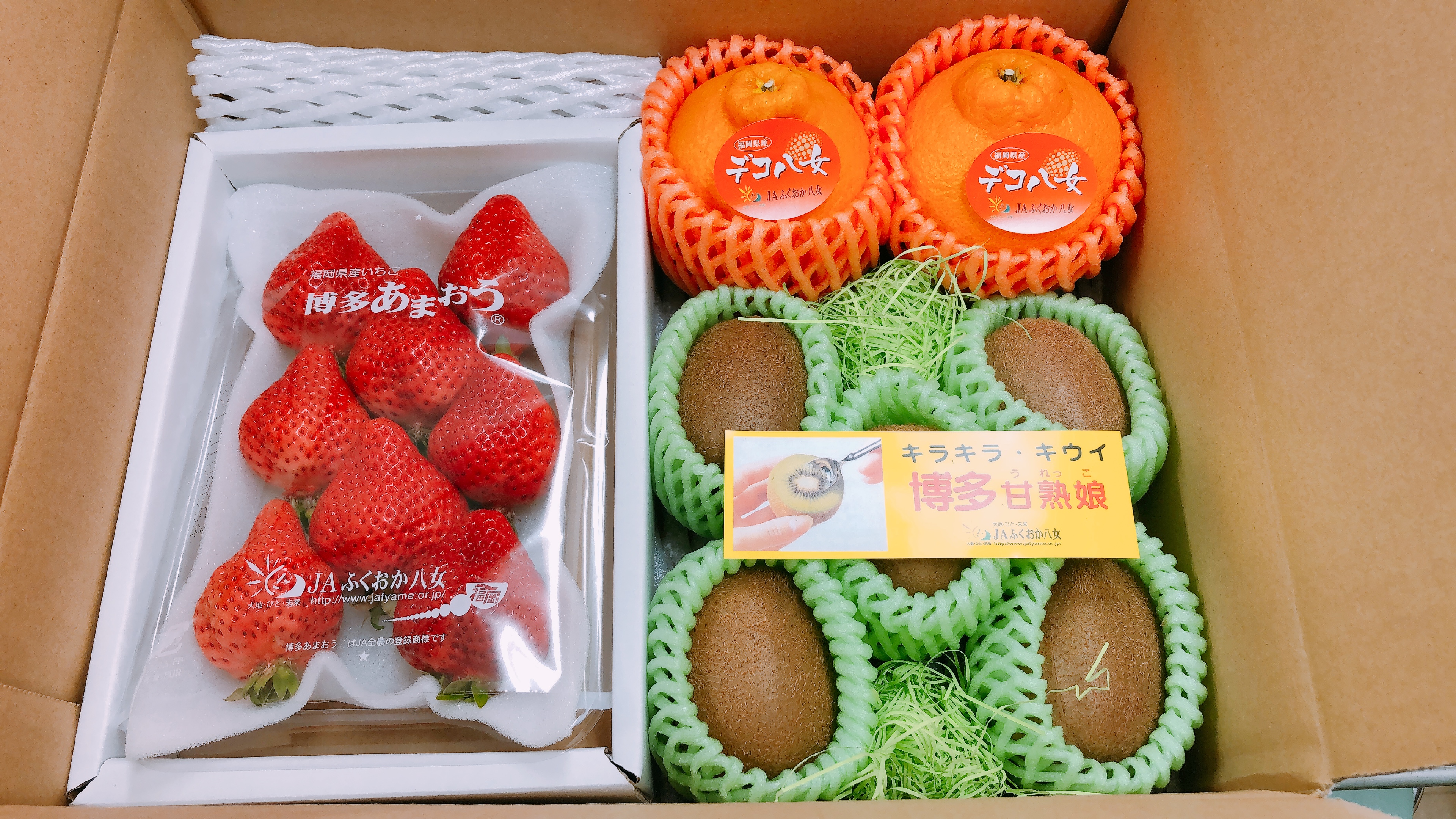 果物セットの商品画像 2