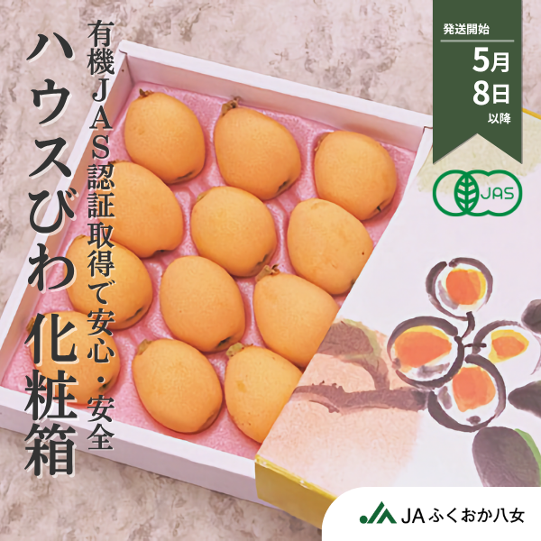 【ギフト】びわ 化粧箱 500g ☆JASオーガニック認証取得済！