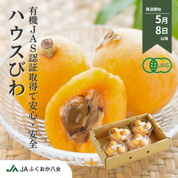 びわ ☆JASオーガニック認証取得済！☆彡