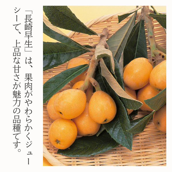 びわ ☆JASオーガニック認証取得済！☆彡 | びわ | 【公式】JAふくおか