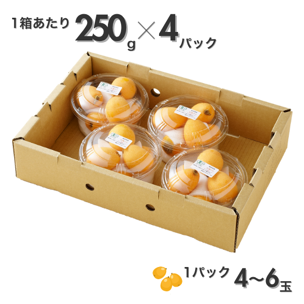 はぴふぉ様、専用商品、 ちょっと早いクリスマスプレゼント】今年一年の感謝を込めてピザハット