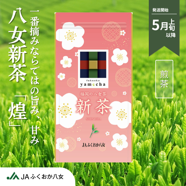 一番茶の旨味を凝縮！八女新茶（煌～きらめき～）