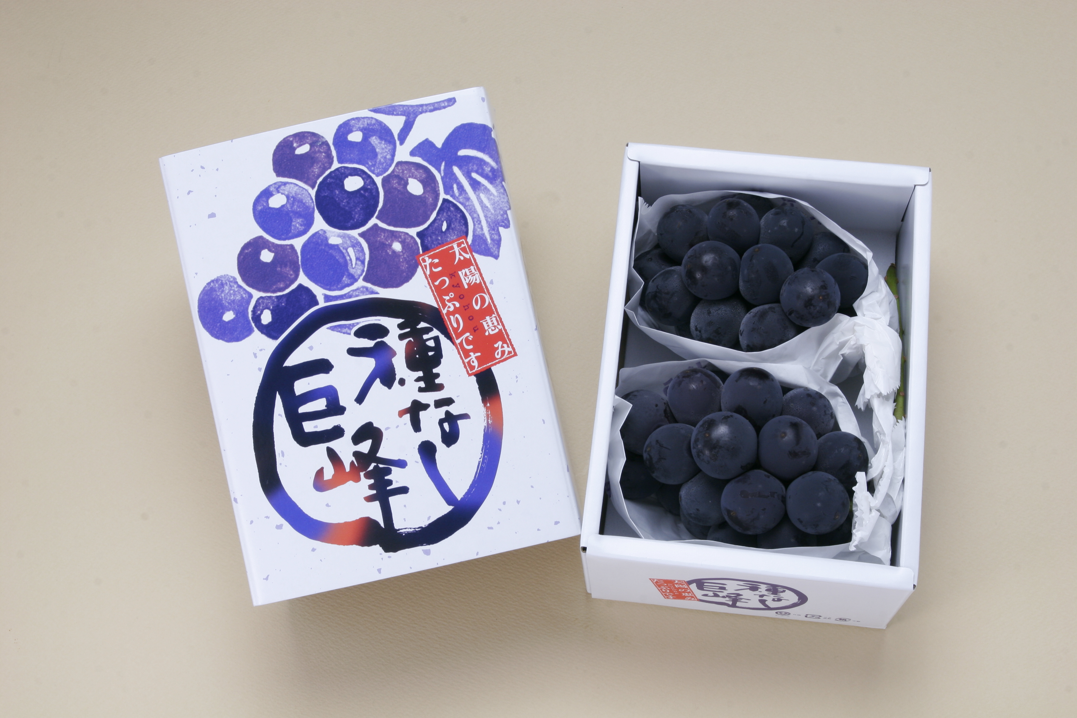 種なし巨峰800g・ハウスみかん1.2kg詰合せ | みかん,ぶどう | 【公式