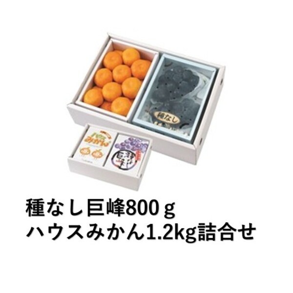 種なし巨峰800g・ハウスみかん1.2kg詰合せ