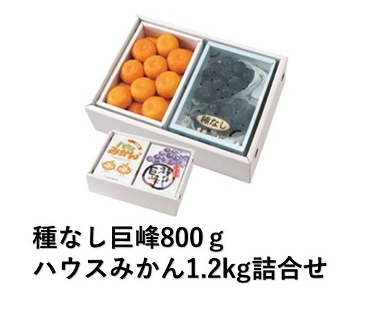種なし巨峰800g・ハウスみかん1.2kg詰合せ | みかん,ぶどう | 【公式