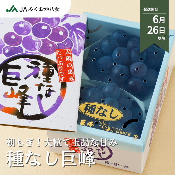 種なし巨峰