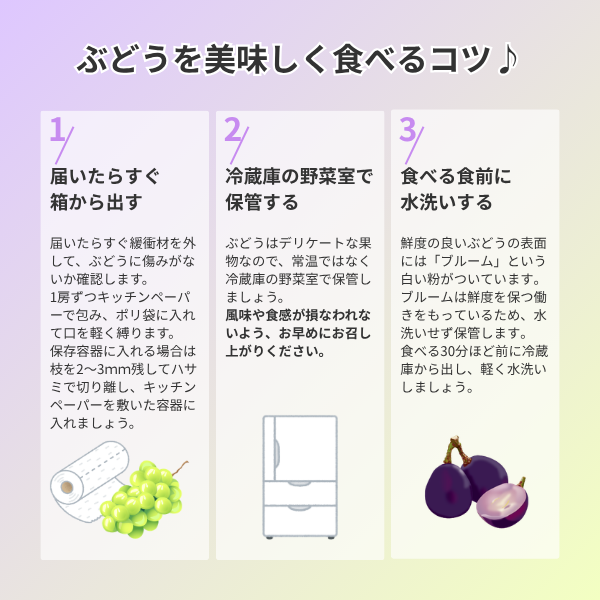 種なし巨峰 | ぶどう | 【公式】JAふくおか八女オンライン直売所・八女