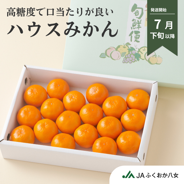 ハウスみかんの商品画像 1