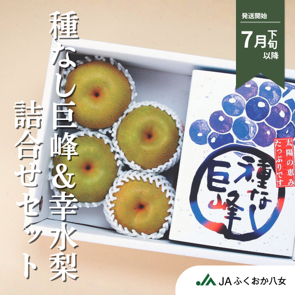 種なし巨峰800g・幸水梨4玉詰合せセット