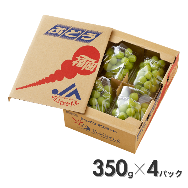 シャインマスカット | ぶどう | 【公式】JAふくおか八女オンライン直売